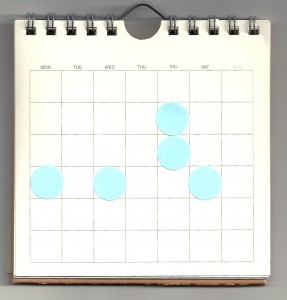 calendario1